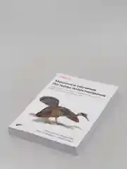Книга Валиаппа Лакшманан, Майкл Мунн "Машинное обучение: Паттерны проектирования"