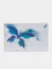Черный цветные контактные линзы Офтальмикс Баттерфляй Butterfly One Month