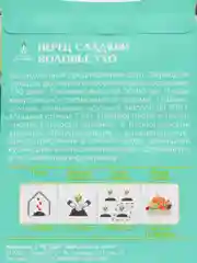 Перец ВОЛОВЬЕ УХО сладкий 0,3г / Евро - семена