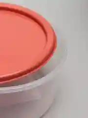 Коралловый контейнер круглый, низкий