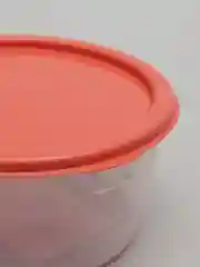 Коралловый контейнер круглый, низкий