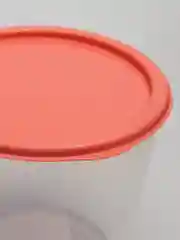 Коралловый контейнер круглый, высокий