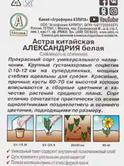 Астра "Александрия" белая (семена, цветы)