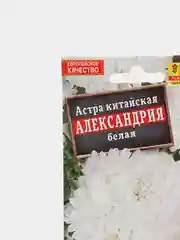 Астра "Александрия" белая (семена, цветы)