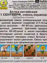 Астра "1 сентября", семена, цветы