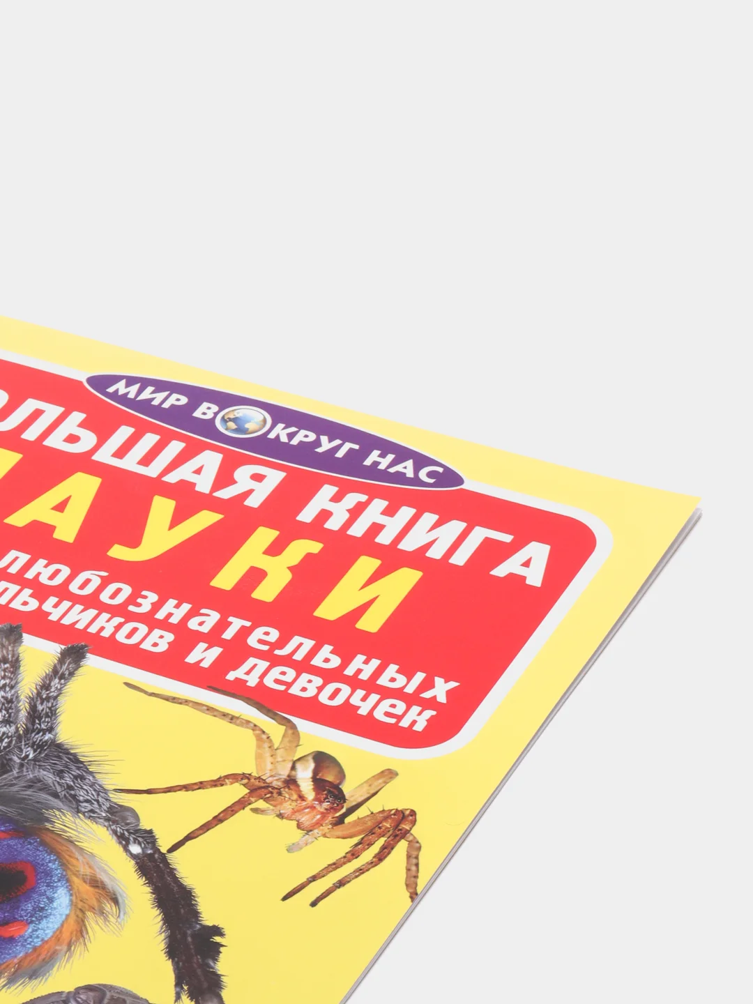 Большая книга "Пауки". Загадочный мир насекомых. Для девочек и мальчиков от 6 лет.Завязкин