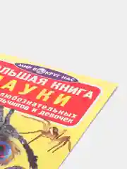 Большая книга "Пауки". Загадочный мир насекомых. Для девочек и мальчиков от 6 лет.Завязкин