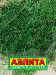 Укроп Кустистый (семена)