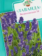 Семена цветов Лаванда "Вознесенская 34"