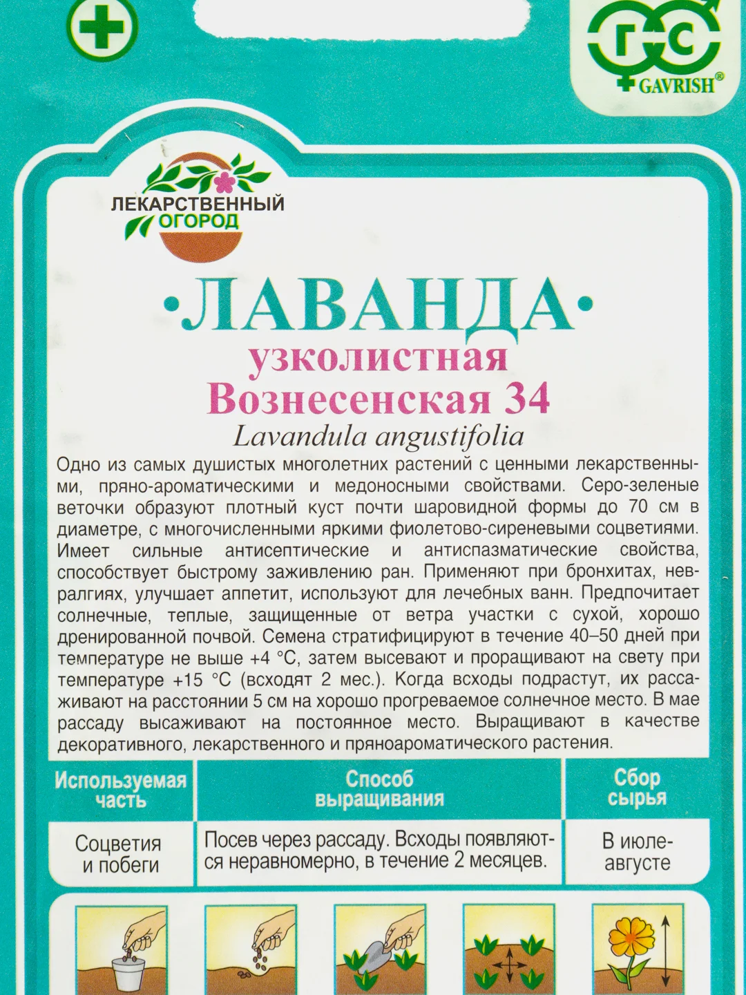 Семена цветов Лаванда "Вознесенская 34"