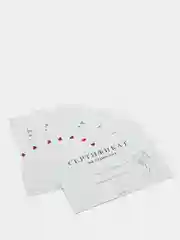 Подарочные сертификаты на интим услуги, секс кубик