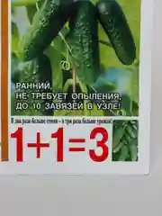 Огурец "Изумрудные сережки" семена