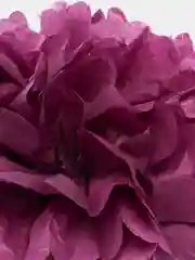 Фиолетовый помпоны из бумаги тишью для декора