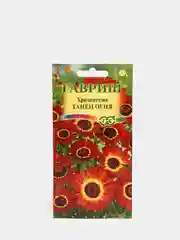 Семена цветы "Хризантема Танец огня"