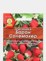 Семена Земляника "Барон Солемахер" набор 1, 3, 5 уп