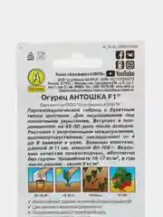 Семена Огурец "Антошка F1" набор 1, 3, 5 уп