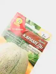 Семена Дыня "Карамель" набор 1, 3, 5 уп