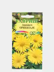 Семена Дороникум "Ориентале" набор 1, 3, 5 уп