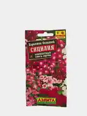 Барвинок Сицилия (семена,цветы)