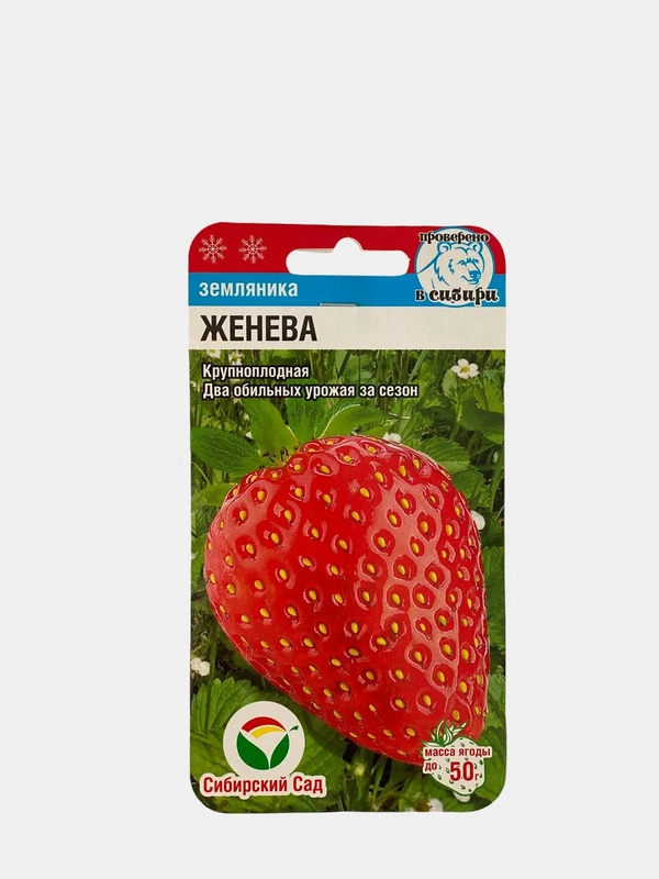 Земляника "Женева", семена