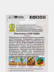 Семена Земляника "Али-баба" набор 1, 3, 5 уп