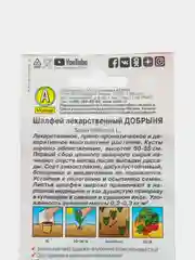 Семена Шалфей лекарственный "Добрыня", набор 1, 3, 5 упаковок