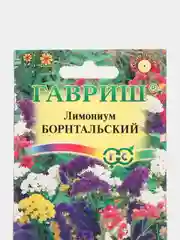 Семена Лимониум (кермек, статице) "Борнтальский" набор 1, 3, 5 уп