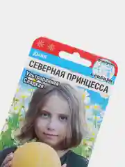 Семена Дыня "Северная принцесса" набор 1, 3, 5 уп