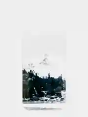 Бирюзовый чехол для iPhone 7/8/SE 2020