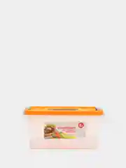 Манго контейнер для пищевых продуктов