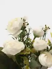 Белый ранункулюсы искусственные цветы, растения, пионы, камелии, розы, букет