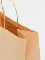 Крафт пакет 26* 35, крученые ручки 70 гр/м2