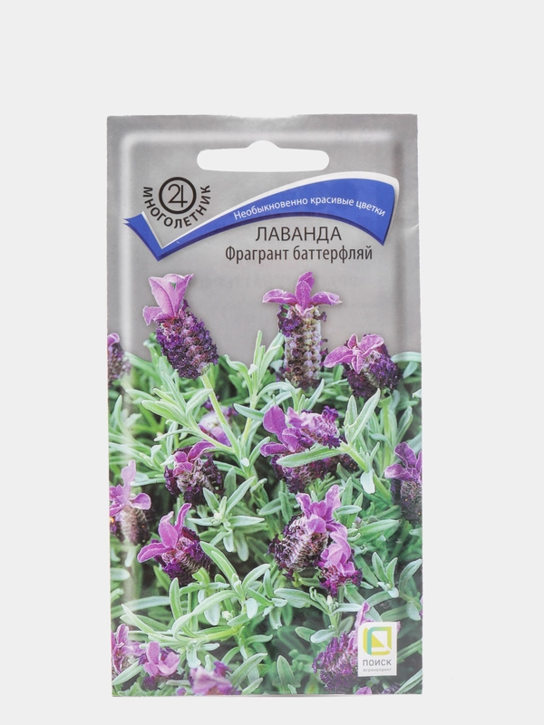 Семена Лаванда "Фрагрант баттерфляй"