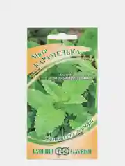 Семена мята"Карамелька"
