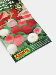 Маргаритка "Беллиссима смесь окрасок", 7 штук, семена