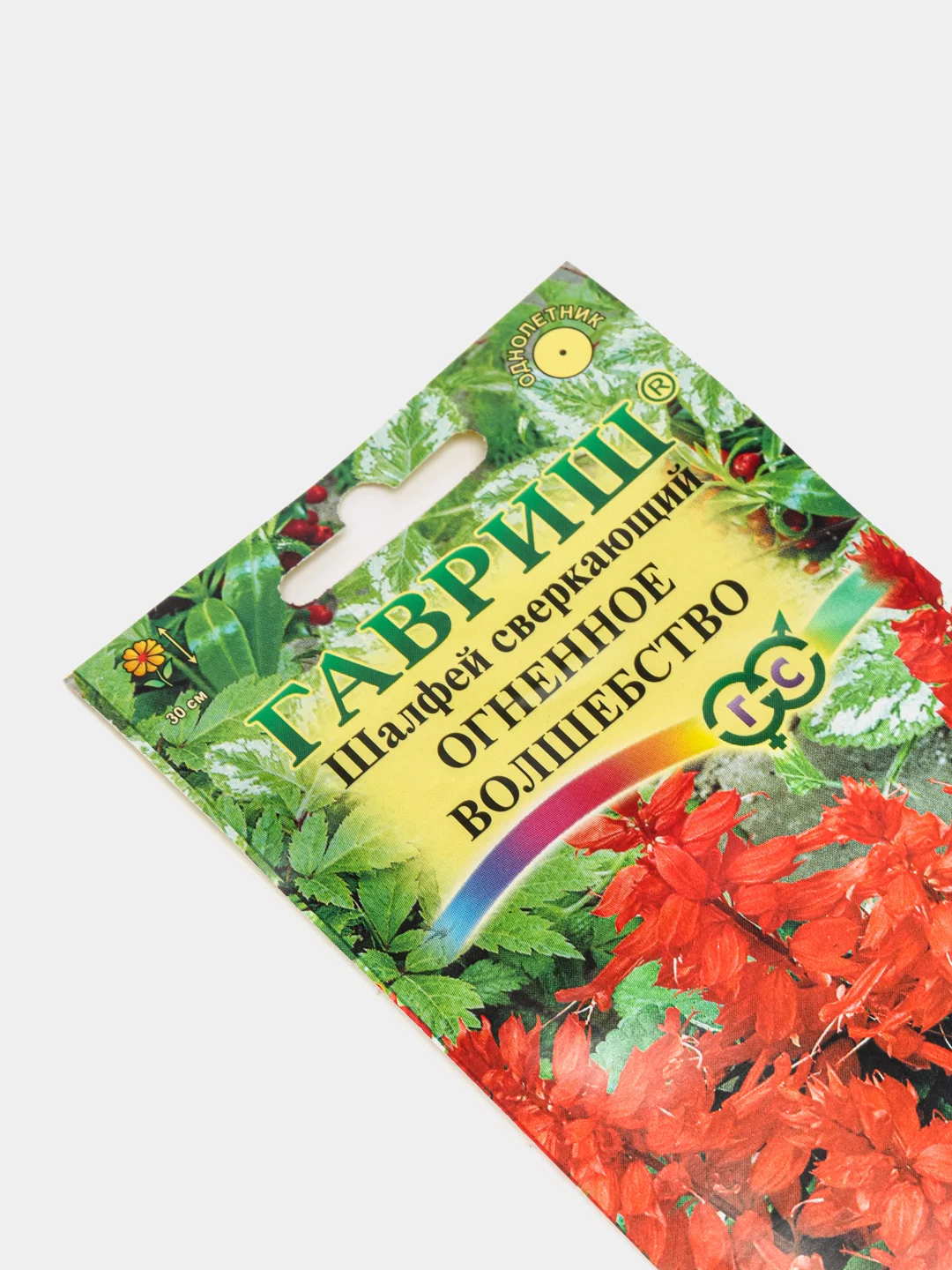 Сальвия Огненное волшебство (семена,цветы)