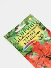 Сальвия Огненное волшебство (семена,цветы)