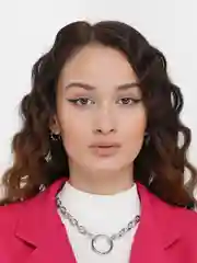 Серебряный цепочка, крупная цепь