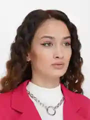 Серебряный цепочка, крупная цепь