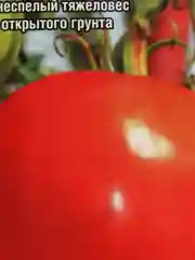 Томат Тяжеловес сибири (семена)