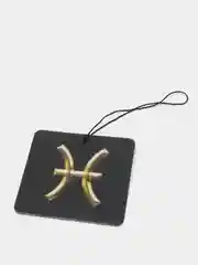 Черный ароматизатор для автомобиля / Автопарфюм / Знак Зодиака / ГОРОСКОП.