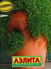 Семена "Мята Мини минт"