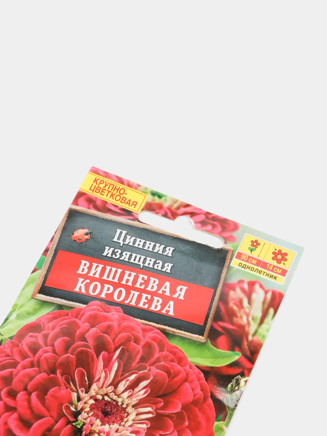 Цинния "Вишневая королева" (семена, цветы)