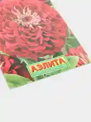 Цинния "Вишневая королева" (семена, цветы)