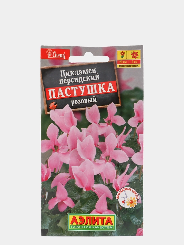 Цикламен персидский Пастушка розовый (семена, цветы)