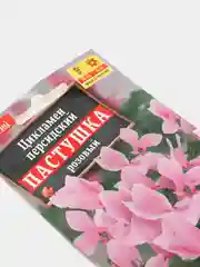 Цикламен персидский Пастушка розовый (семена, цветы)