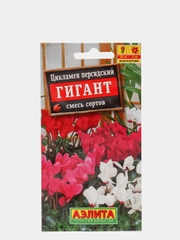 Цикламен персидский "Гигант, смесь сортов", семена, цветы