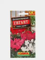 Цикламен персидский "Гигант, смесь сортов", семена, цветы