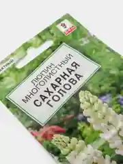 Семена цветов Люпин "Сахарная голова"