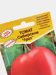 Семена, томат "Сибирское чудо", 0,2 гр
